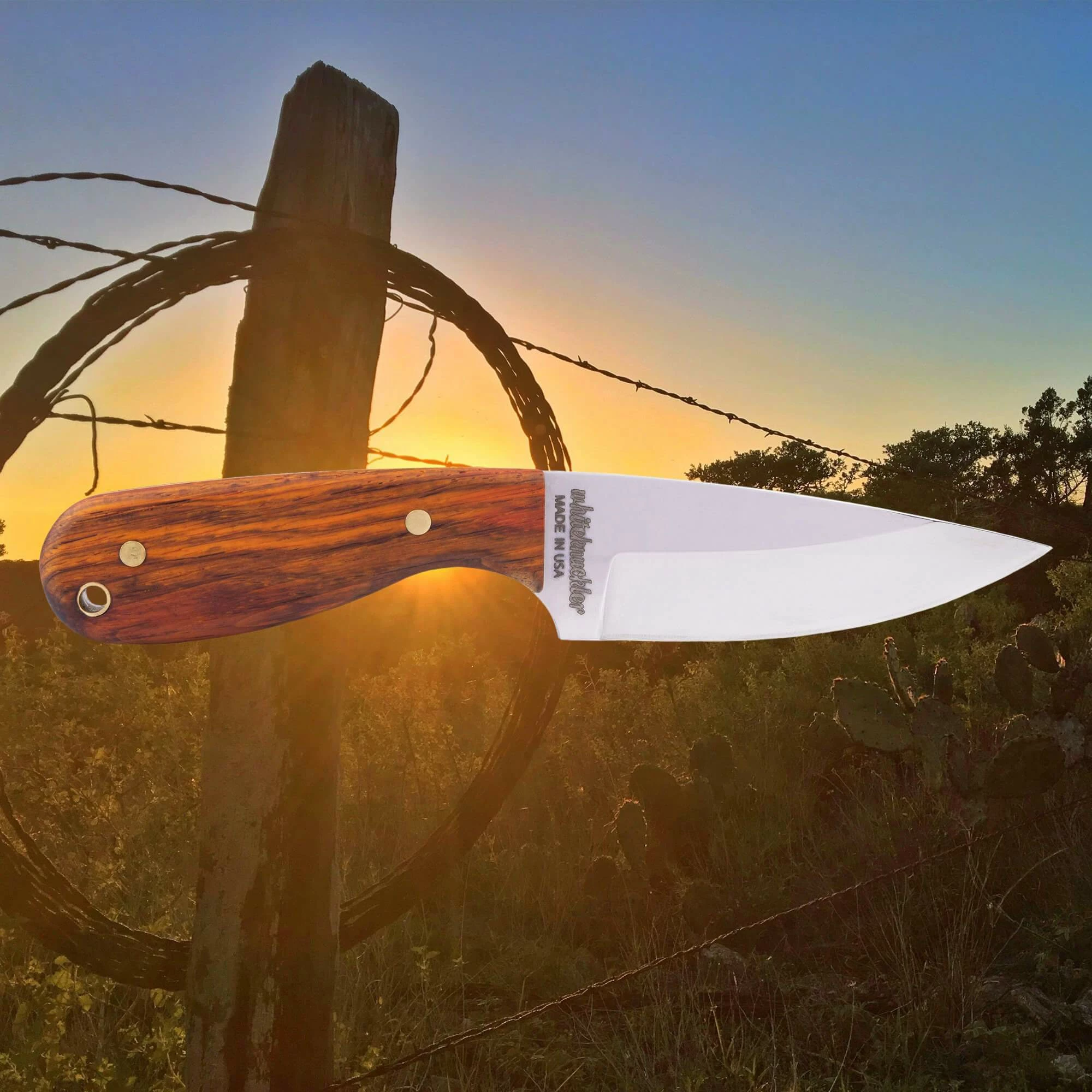 Whiteknuckler Brand Cocobolo - Model 3 Knife - Right Hand - Black Sheath 9 Whiteknuckler Brand Cocobolo - Model 3 Knife - Right Hand - Black Sheath - Image 9